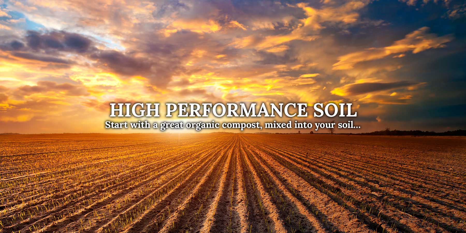 Enriched Composted Manure